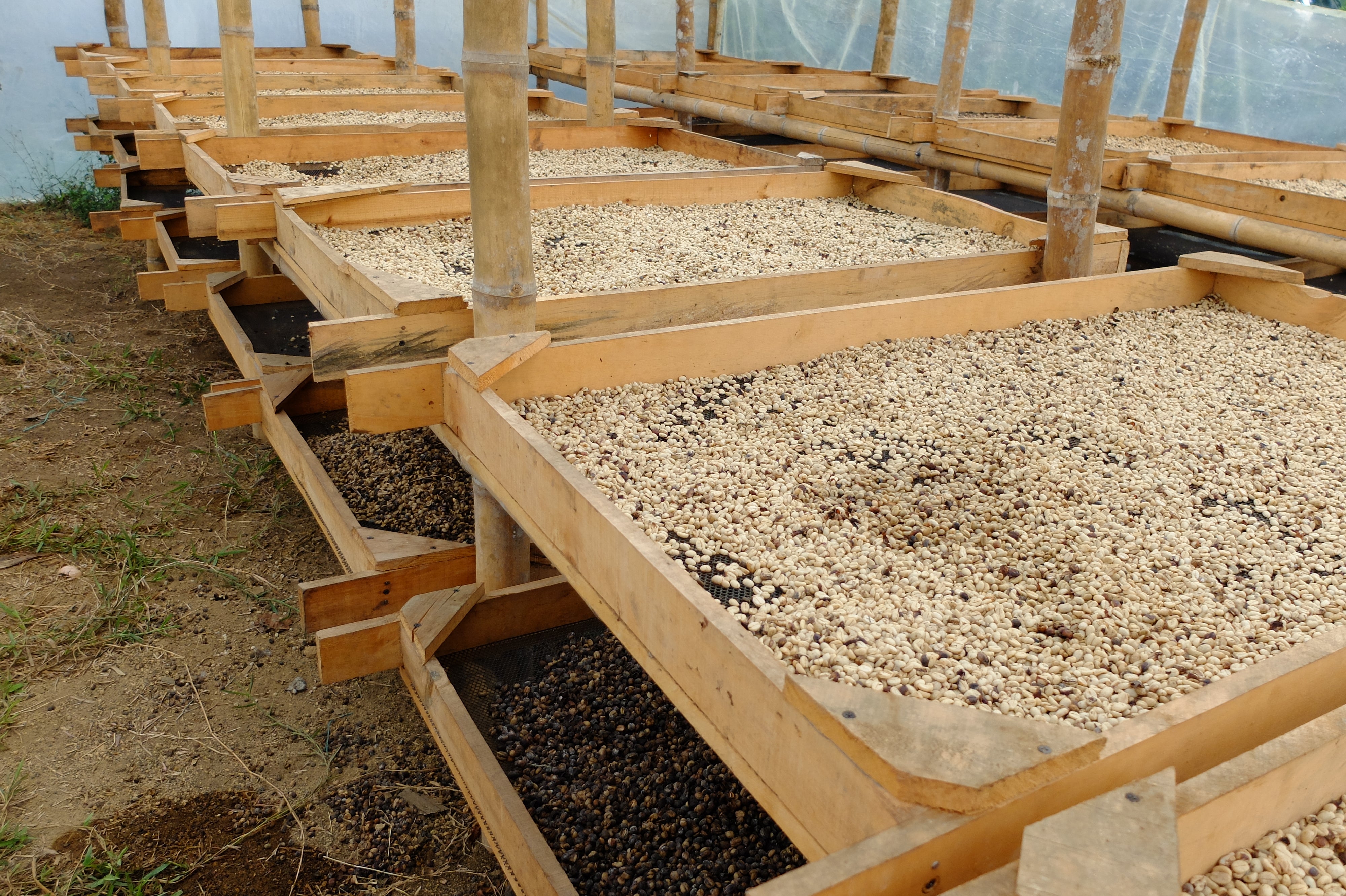 Blends LAMILL COFFEE