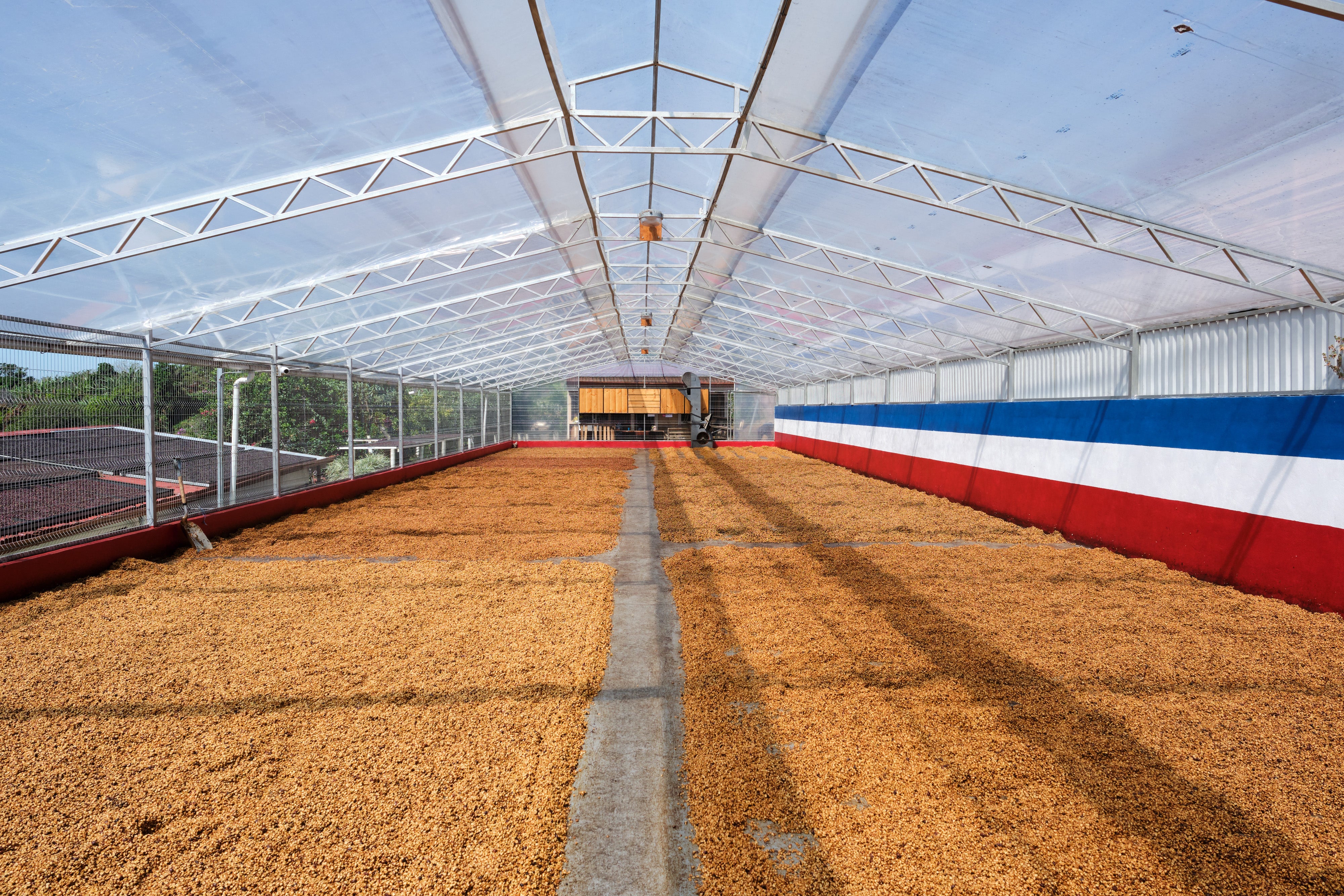 Finca Sabanilla - Costa Rica