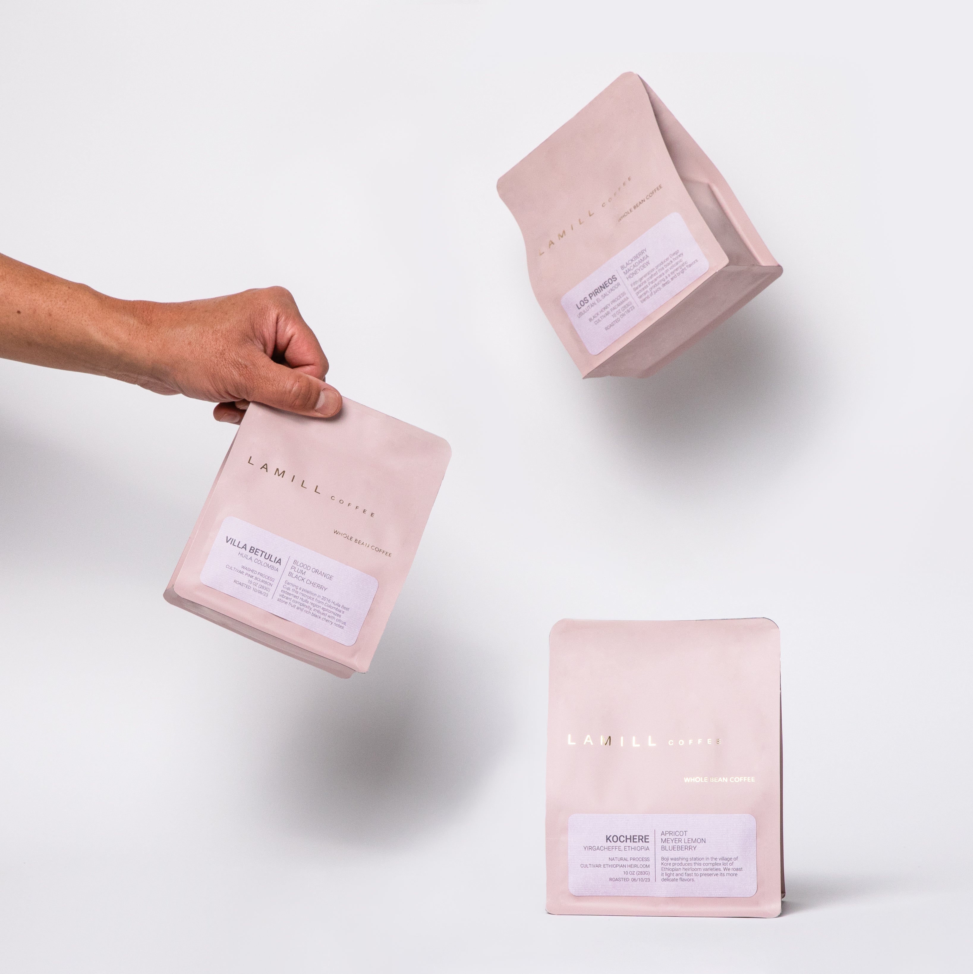 Coffee Subscription - Rotating Single Origin