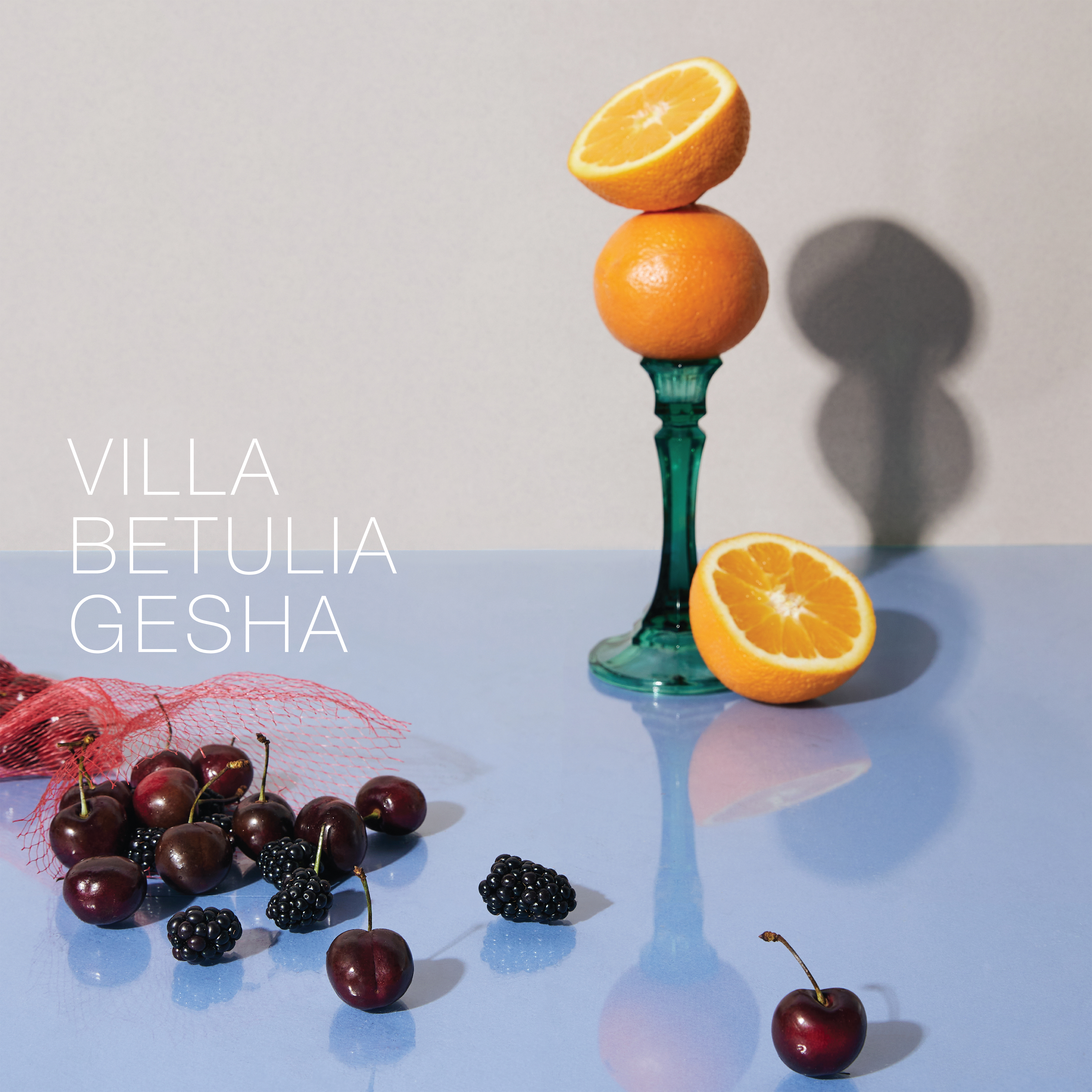 Villa Betulia Gesha - Colombia