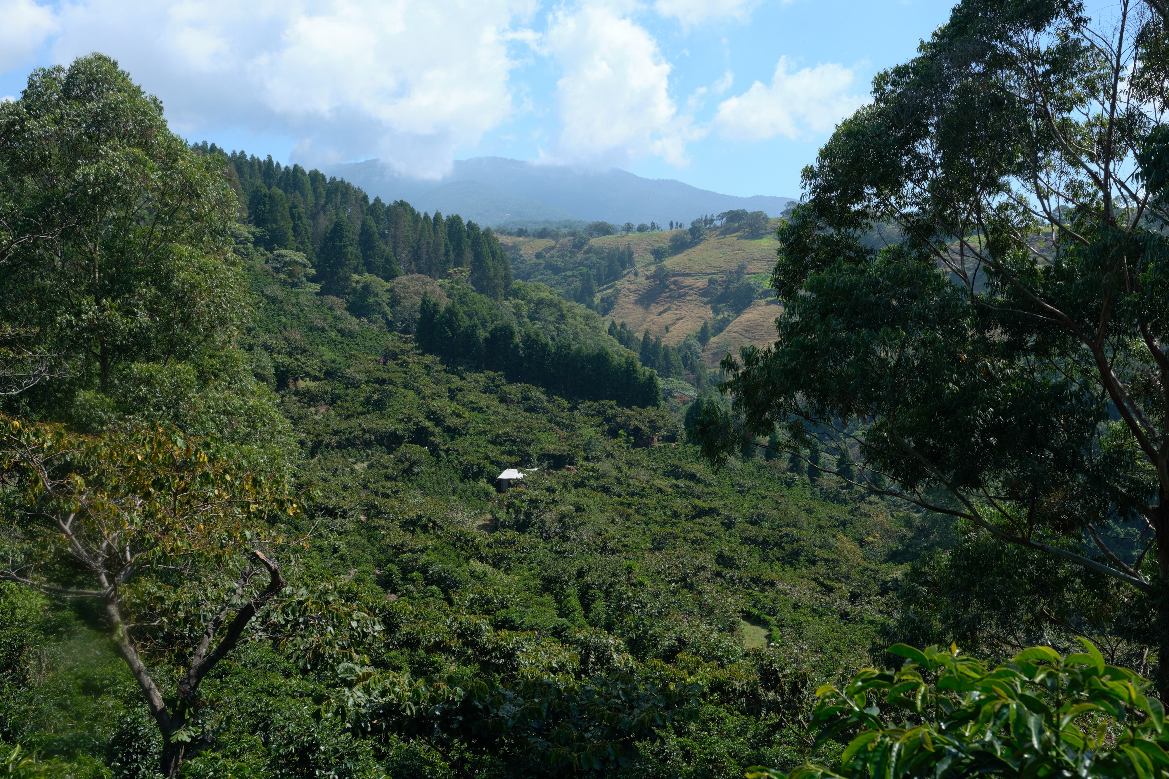 La Alquimia - Costa Rica