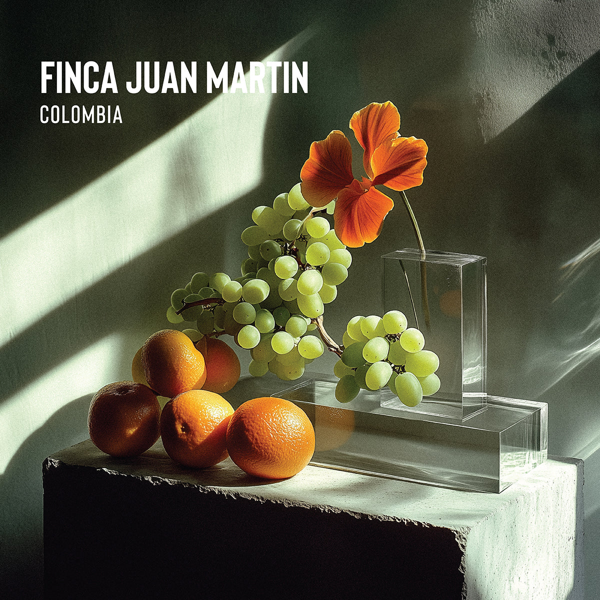 Finca Juan Martín - Colombia