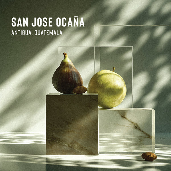 洋楽 DR. YEN LO (KA & PRESERVATION) SanJoseOcana_tile_final_grande