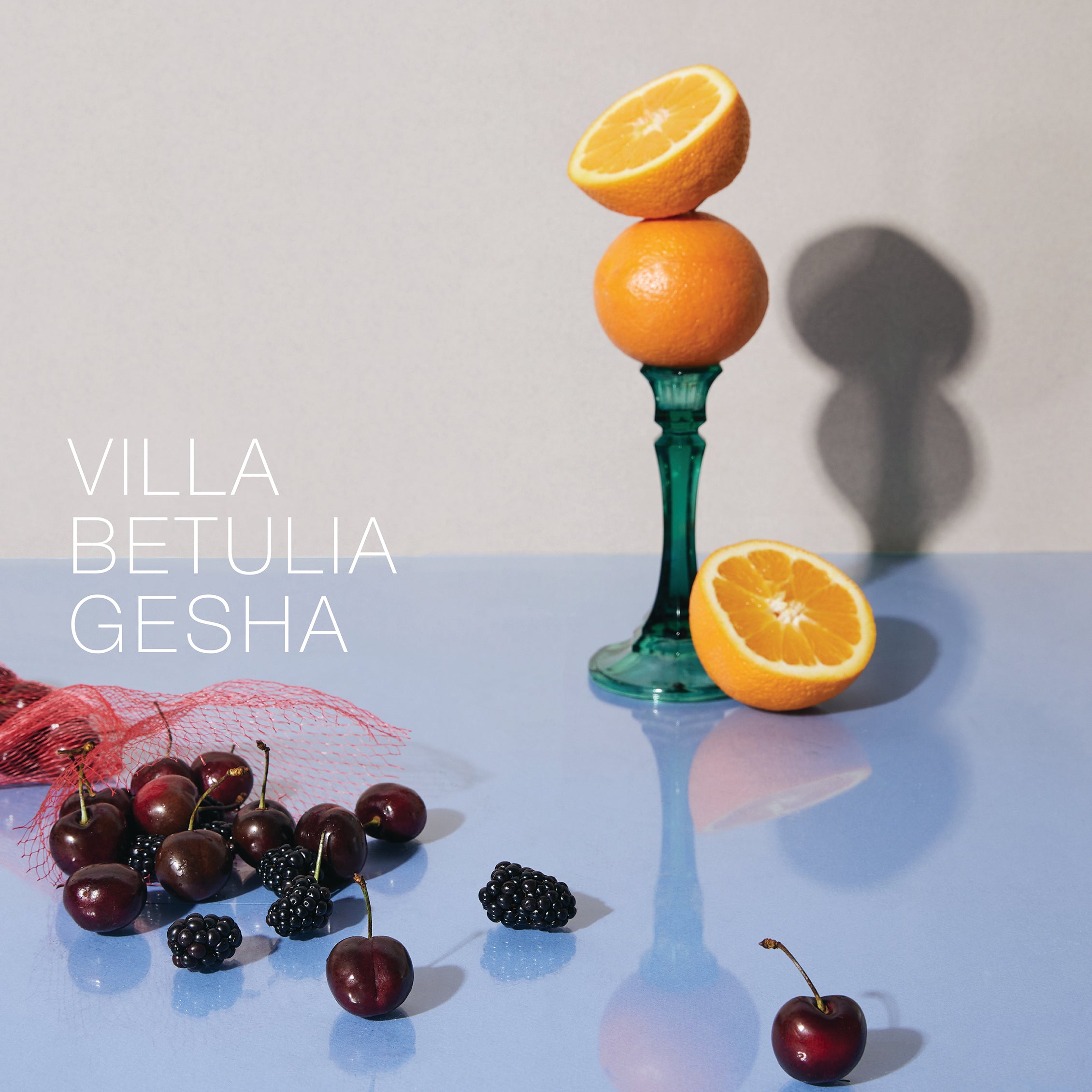Villa Betulia Gesha - Colombia
