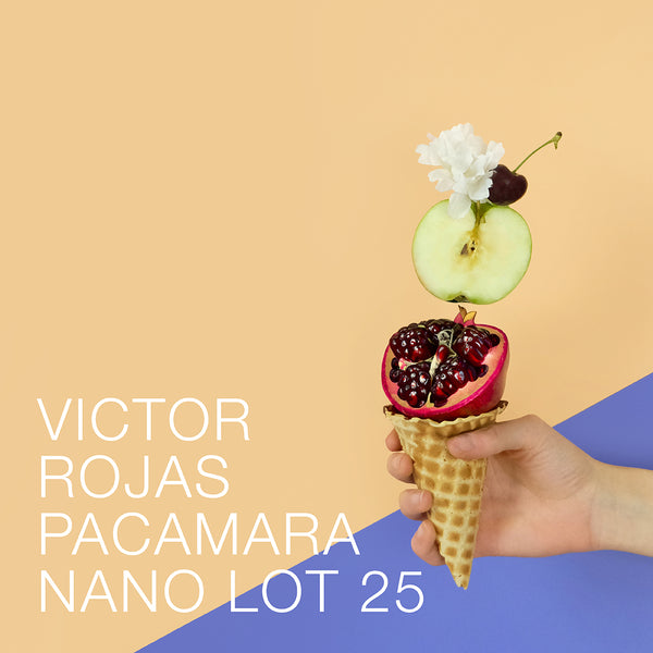 Victor Rojas - Pacamara Nano Lot 25 - Panama